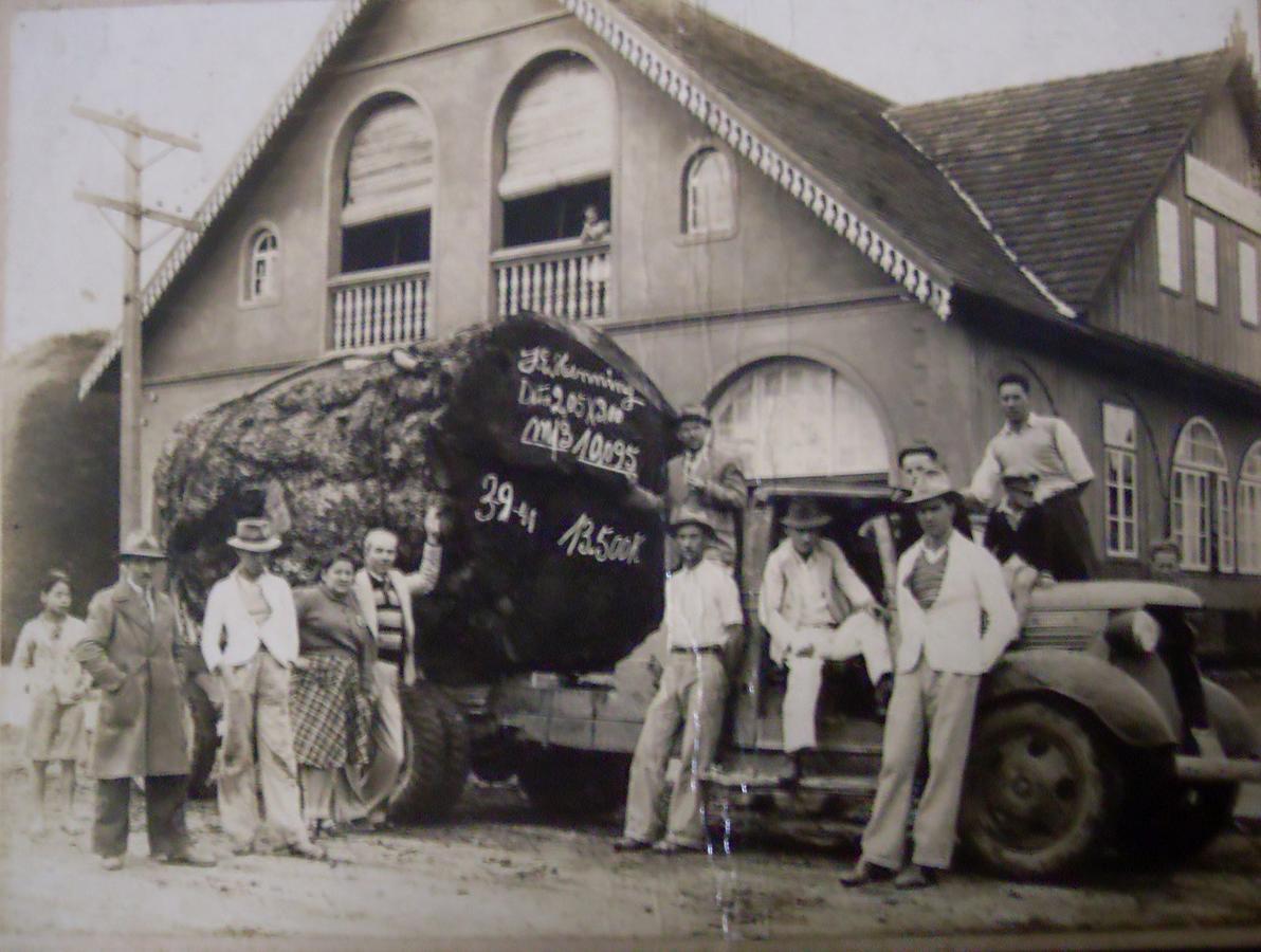 Hotel Scholze Canoinhas Luaran gambar